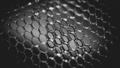 Photo Graphene and 2D Materials