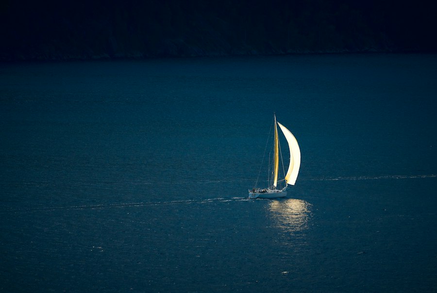 Solar Sails