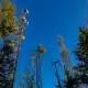 Photo Private Cellular Networks