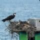 Photo Drone Nesting Stations