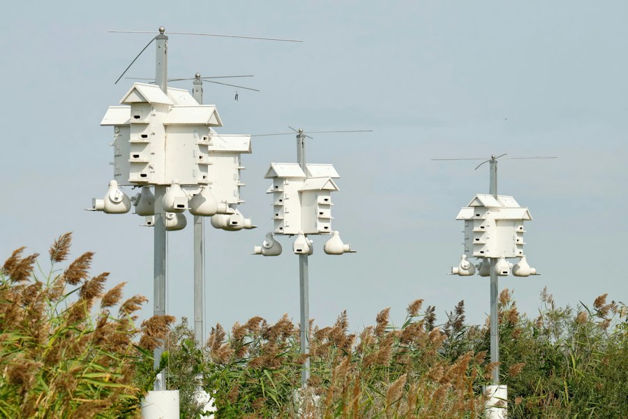 Drone Nesting Stations