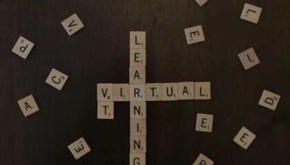 Photo Learning Experience Platforms