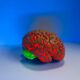 Photo Blood-Brain Barrier