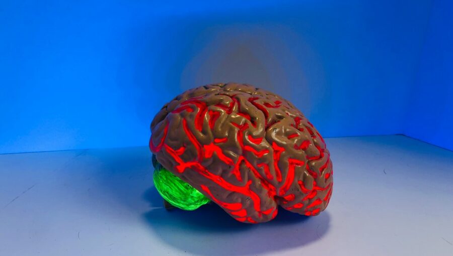 Photo Blood-Brain Barrier