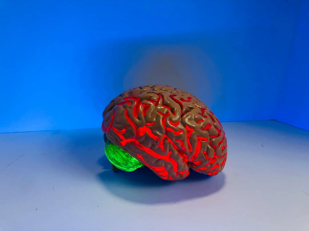 Photo Blood-Brain Barrier