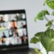 Photo Virtual Meeting Audio and Video Quality