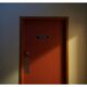 Photo Biometric Palm and Facial Recognition Door Access