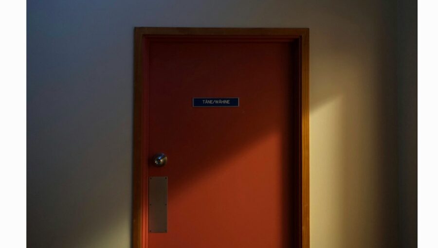 Photo Biometric Palm and Facial Recognition Door Access