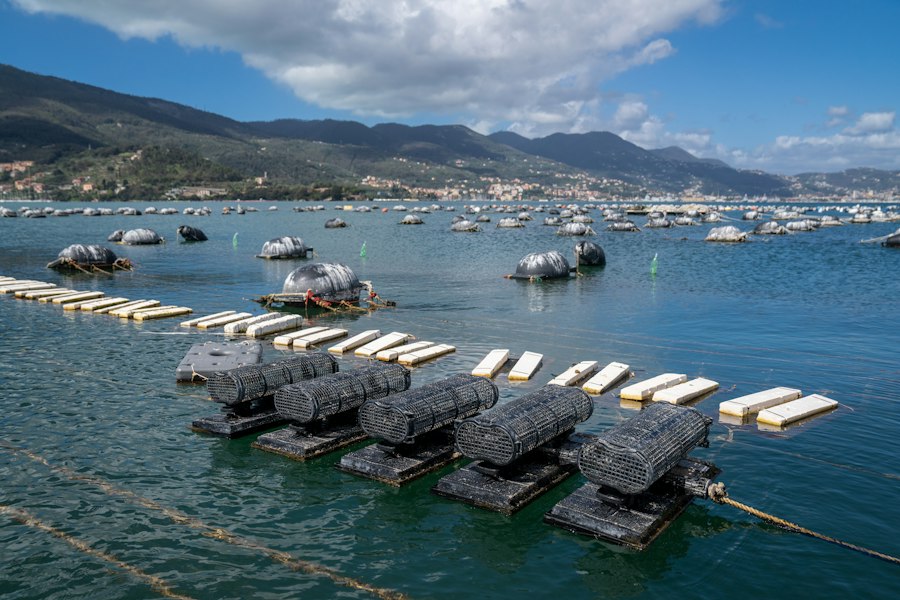 Offshore Floating Solar Farms: Unlocking High-Yield Renewable Generation 2 Photo Floating Solar Farms