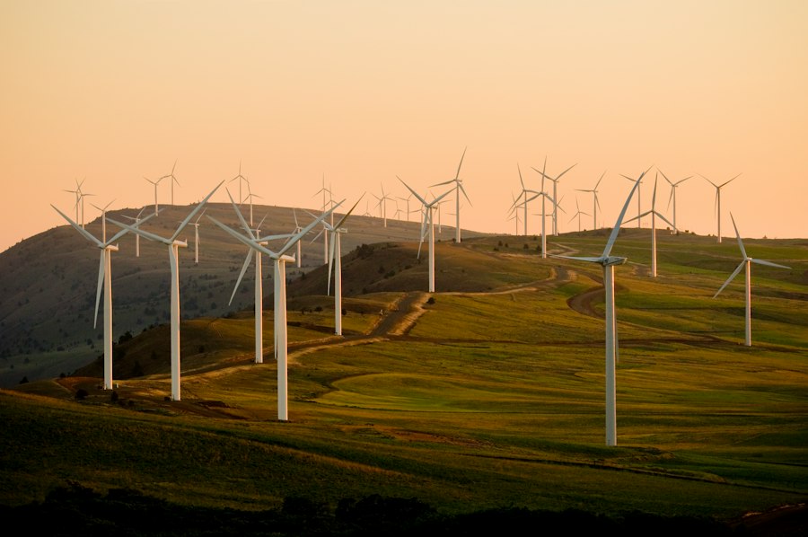 Renewable Energy Certificates (RECs)