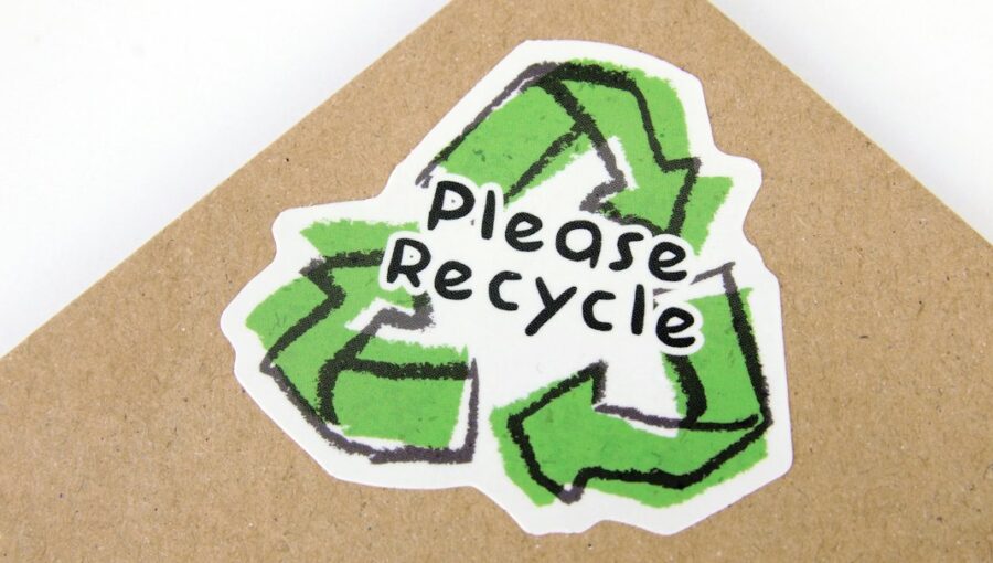 Photo Sustainability Due Diligence Directive