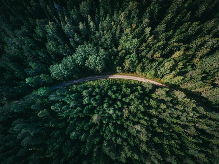 Green FinTech IoT Telematics Carbon Ledger Sustainable Lending