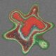 Photo Spatial Transcriptomics Human Tissue Mapping