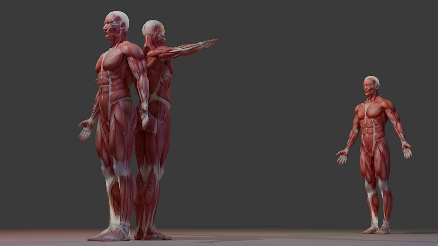 Photo Spatial Transcriptomics Human Tissue Mapping