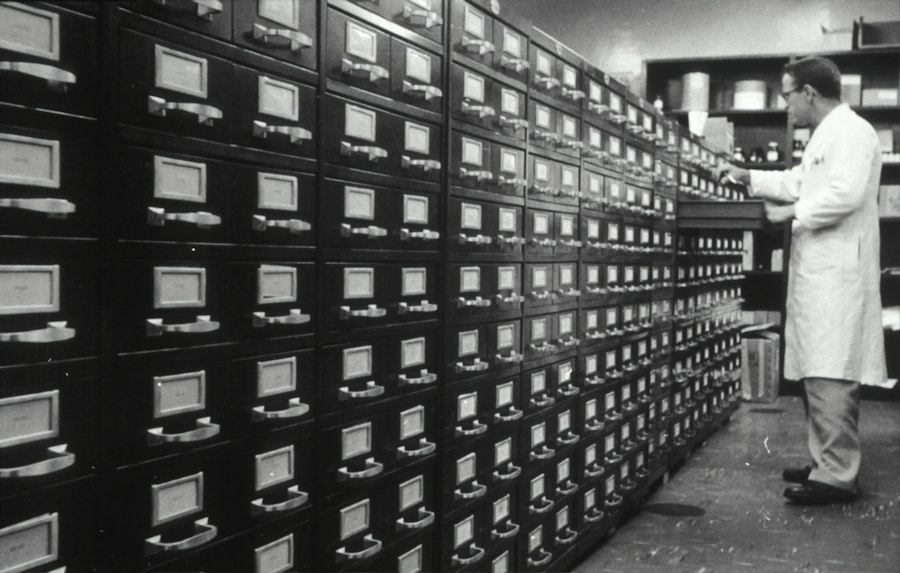 How to Organize Your Digital Clutter with Automated File Sorting Scripts 1 automated file sorting script organization