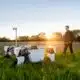 Photo Precision agriculture drones IoT sensors zero-waste farming