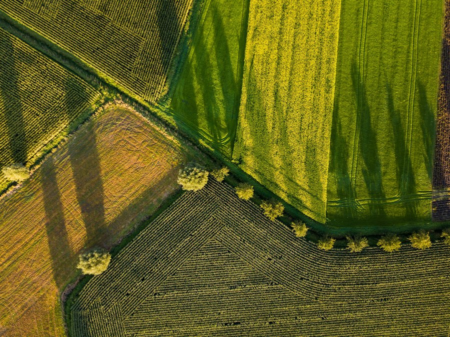Photo Precision agriculture drones multispectral imaging