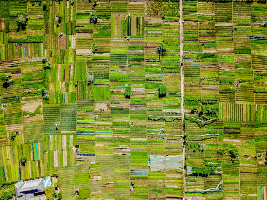 Precision agriculture drones multispectral imaging