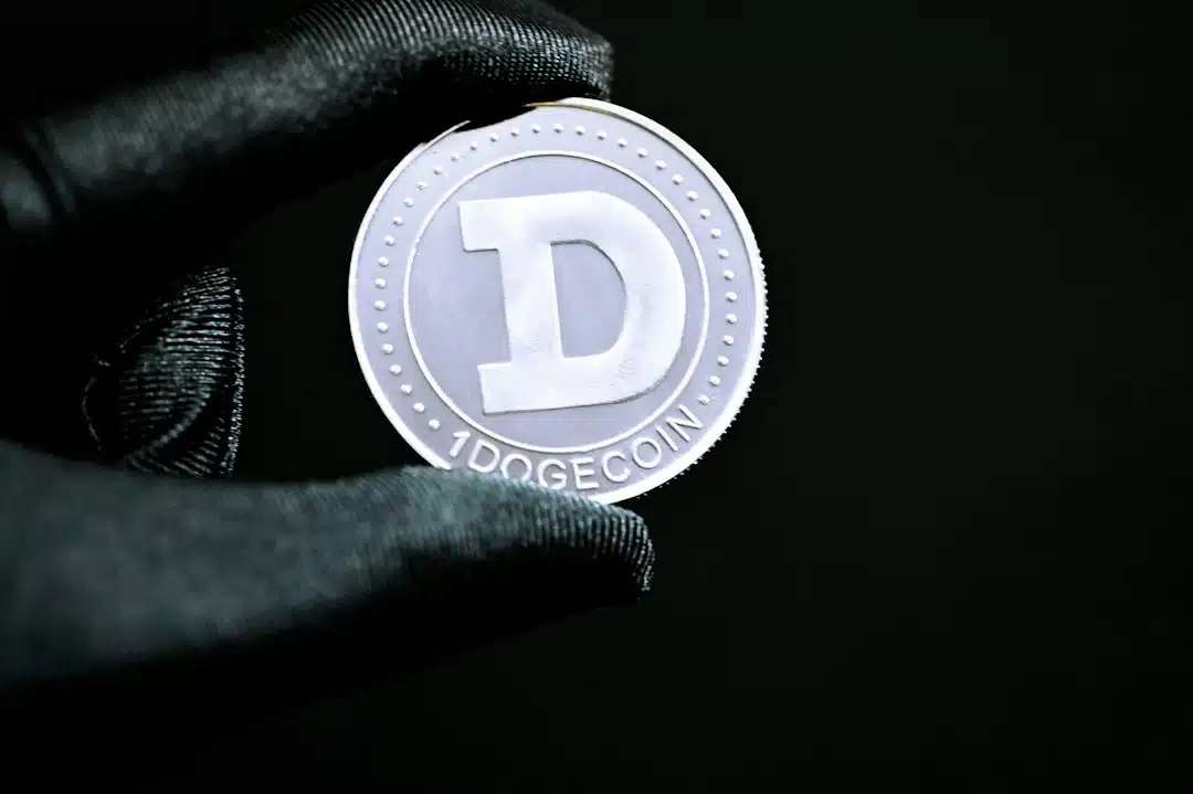Photo decentralized credentials professional certification