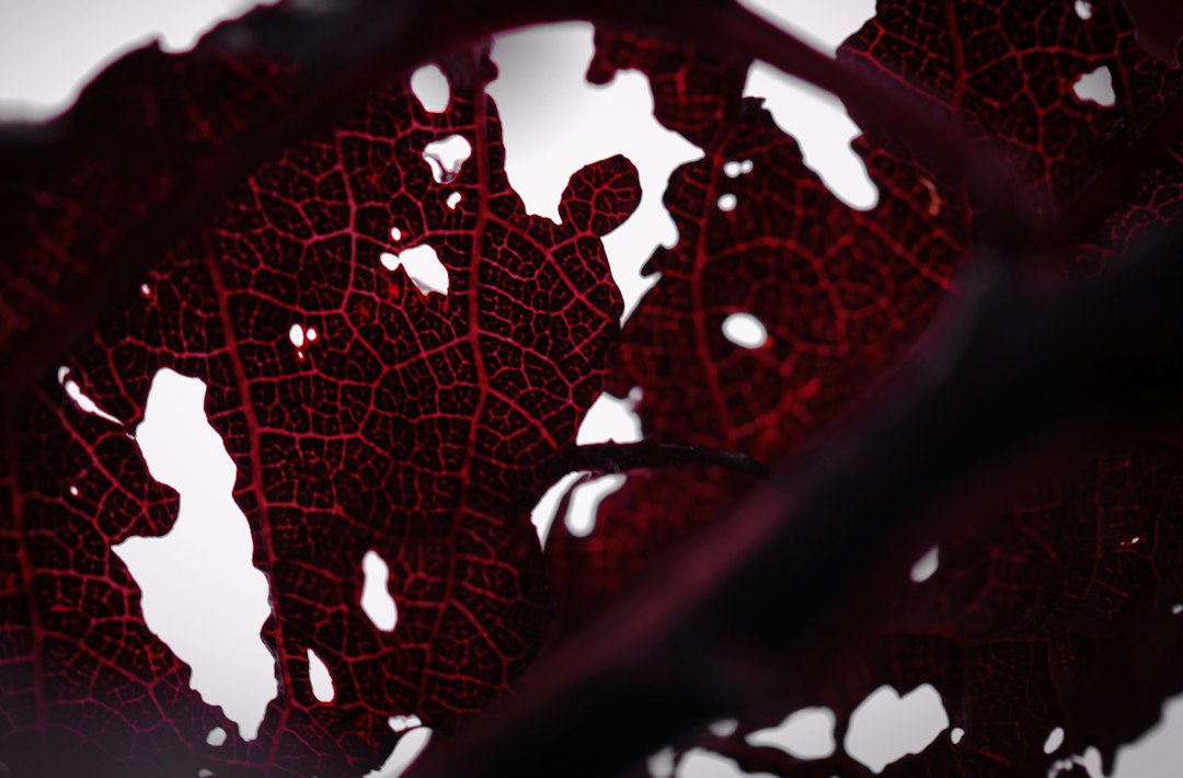 Photo bioprinting vascularized tissue scaffold regenerative implants