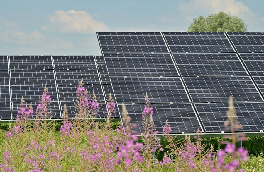 Photo Next-Generation Perovskite Solar Cells Smart Infrastructure