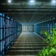 Photo Zero-Trust AI Security Architecture