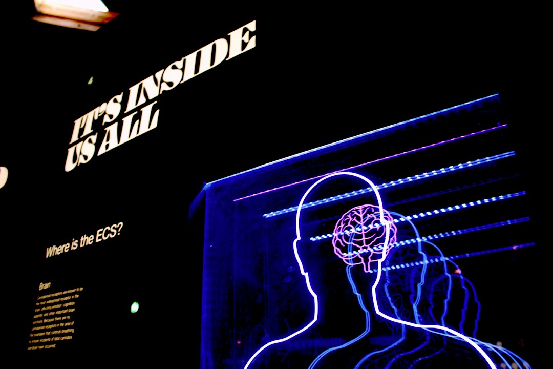Photo non-invasive brain-computer interface accessibility
