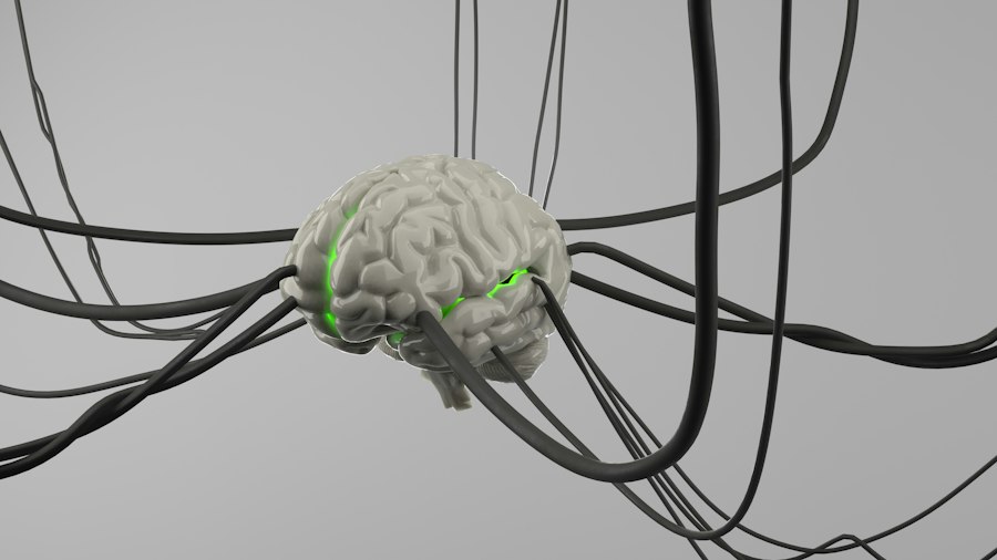 non-invasive brain-computer interface accessibility
