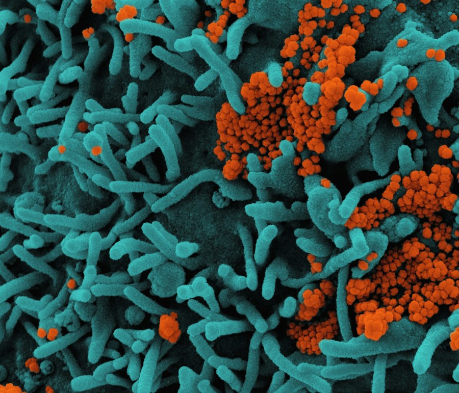 Photo Genetically Engineered Phage Therapy Superbugs