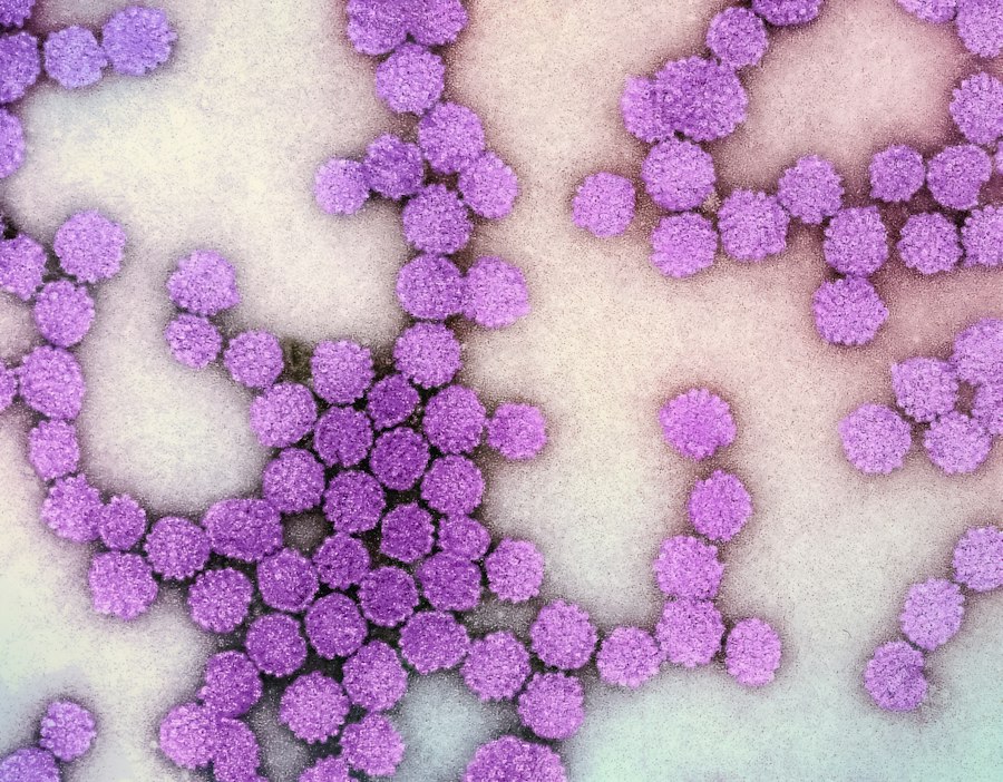 Genetically Engineered Phage Therapy Superbugs
