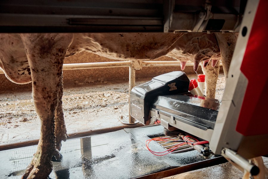 lab-grown meat bioreactor technology