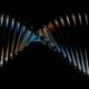 Photo Optical Genome Mapping Rare Genetic Diseases